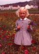 Beim Mohnblumenpflücken 1965